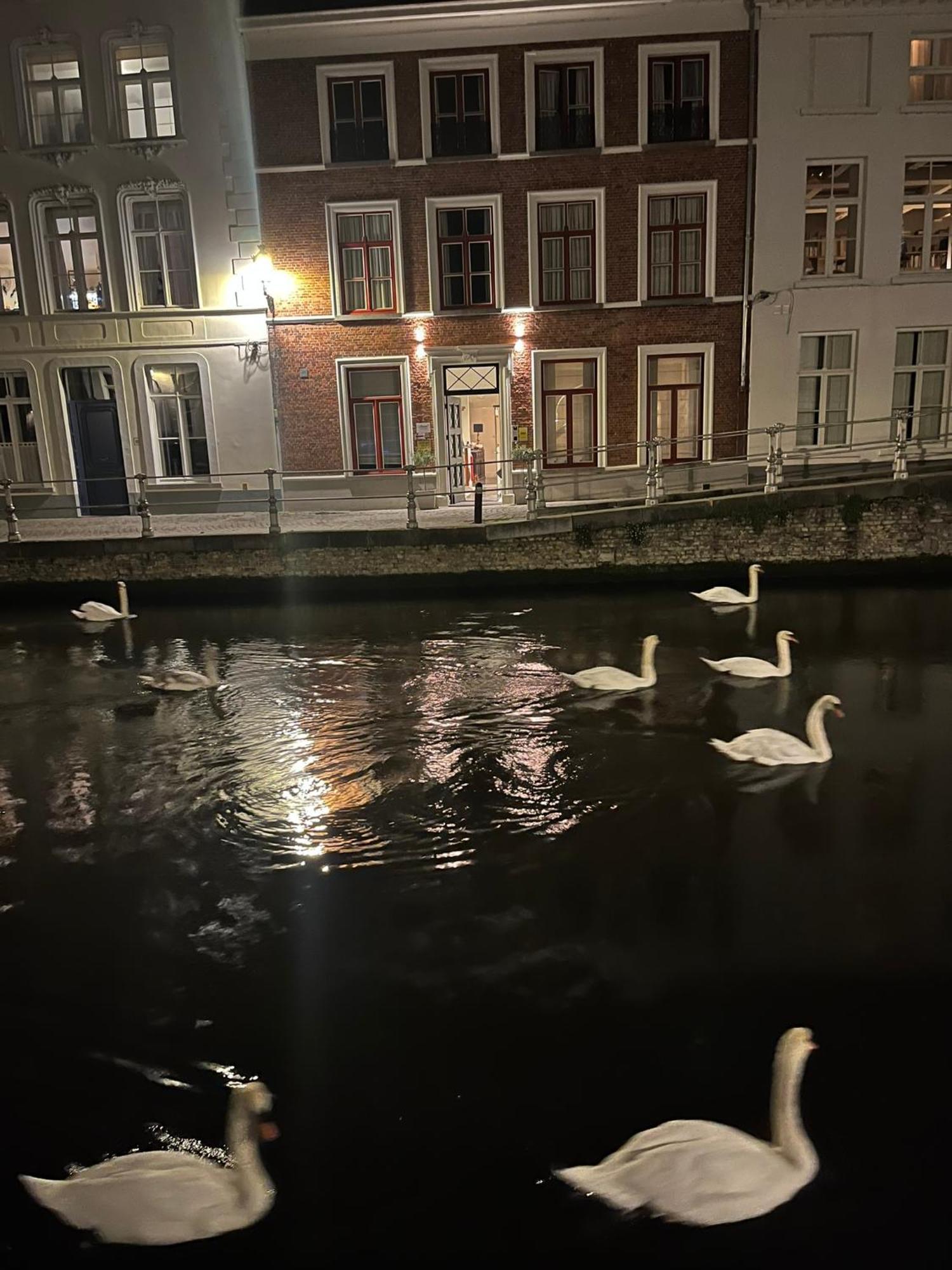 B&B Anna9 Brugge Kültér fotó