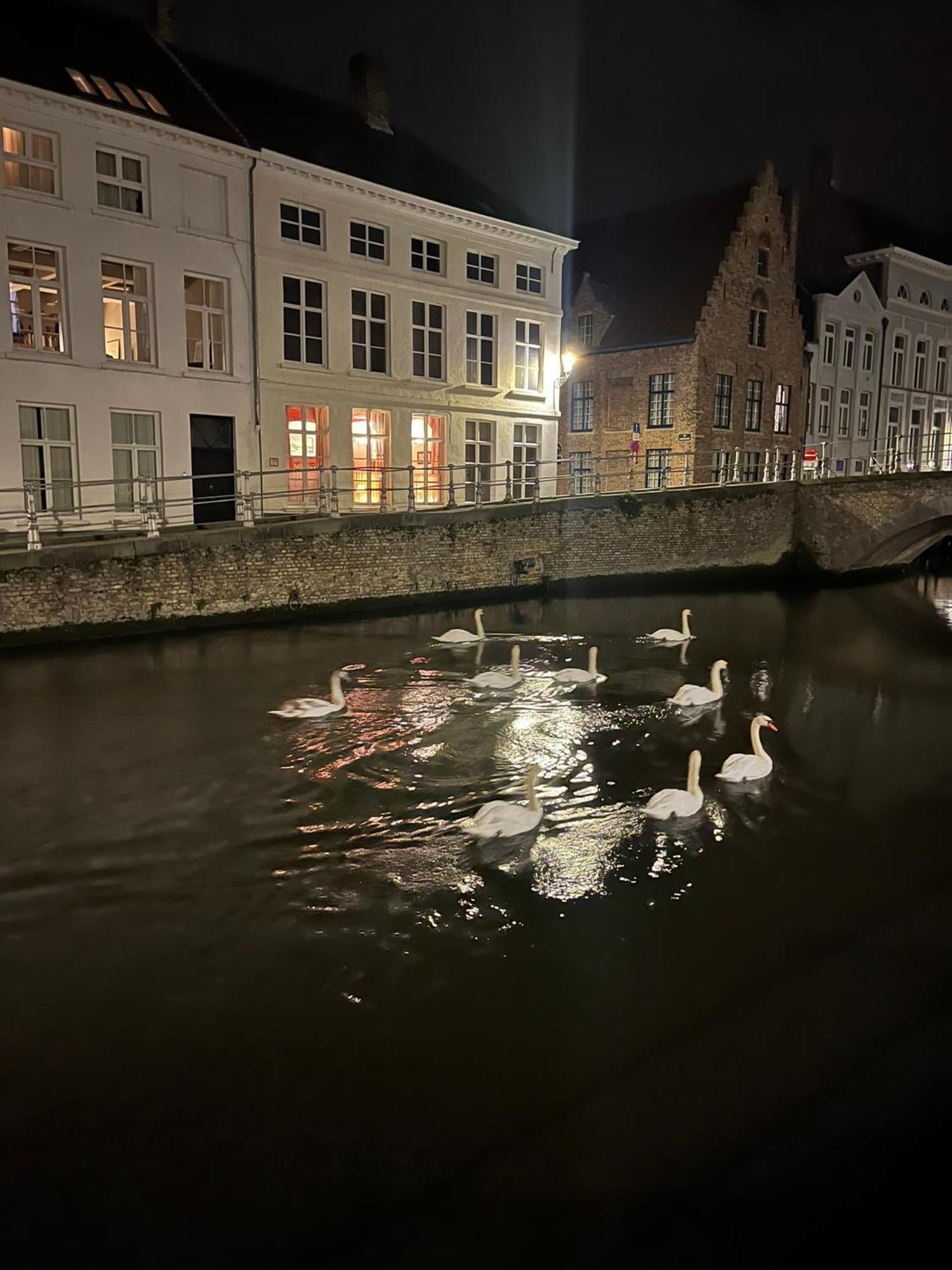 B&B Anna9 Brugge Kültér fotó
